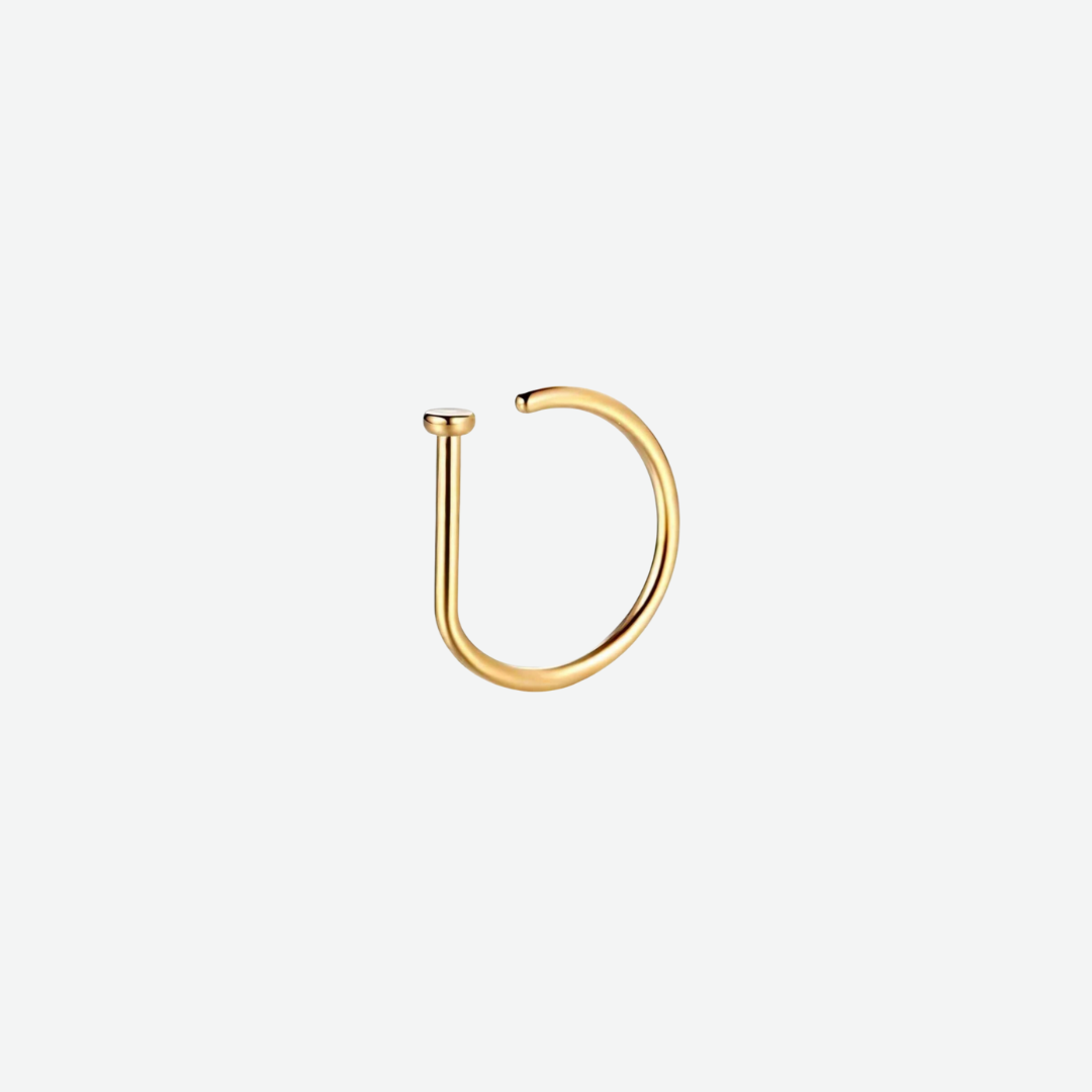 Fake Nose Ring Set