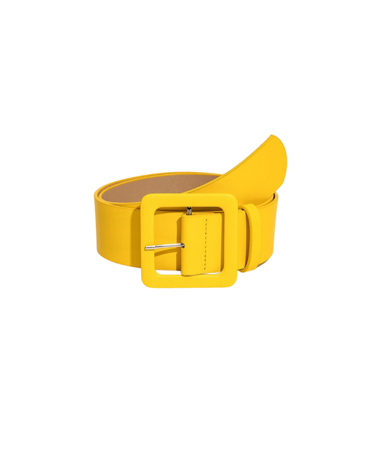 Buckle Design Belt