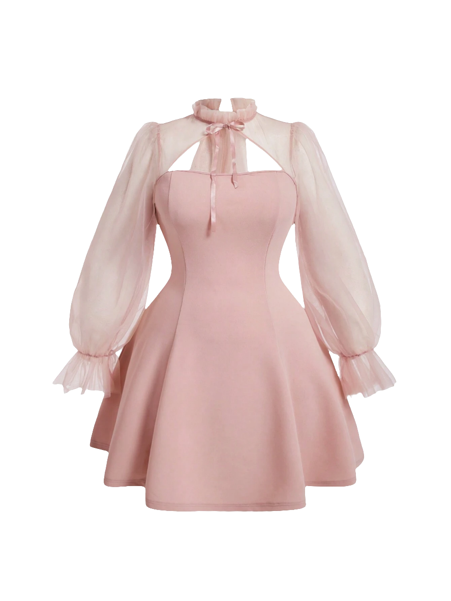 Mesh & Lace-Up Dress