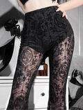Sheer Lace Flared Pant